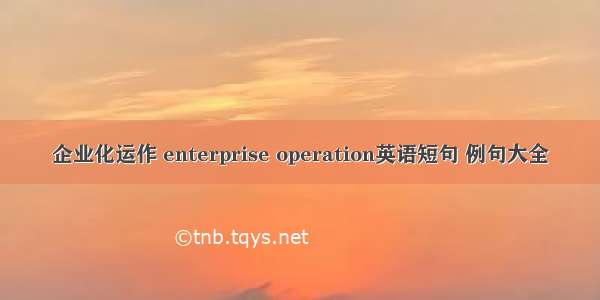 企业化运作 enterprise operation英语短句 例句大全