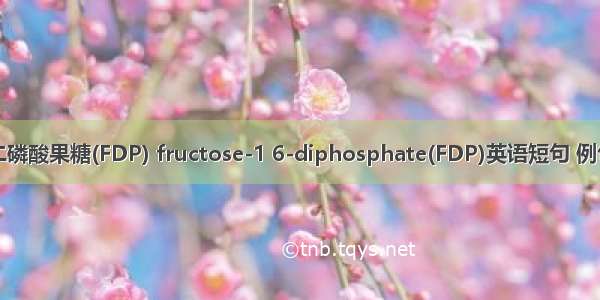1 6-二磷酸果糖(FDP) fructose-1 6-diphosphate(FDP)英语短句 例句大全