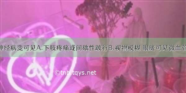 糖尿病周围神经病变可见A.下肢疼痛或间歇性跛行B.视物模糊 眼底可见微血管瘤C.直立性