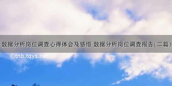 数据分析岗位调查心得体会及感悟 数据分析岗位调查报告(二篇)