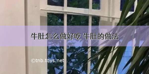 牛肚怎么做好吃 牛肚的做法