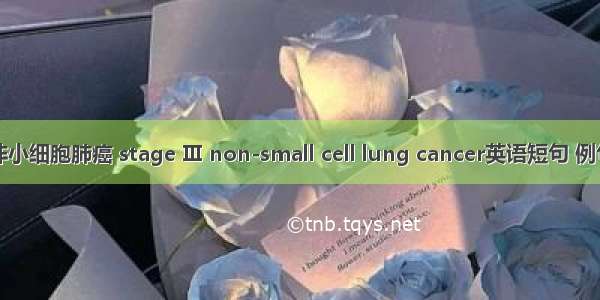 Ⅲ期非小细胞肺癌 stage Ⅲ non-small cell lung cancer英语短句 例句大全