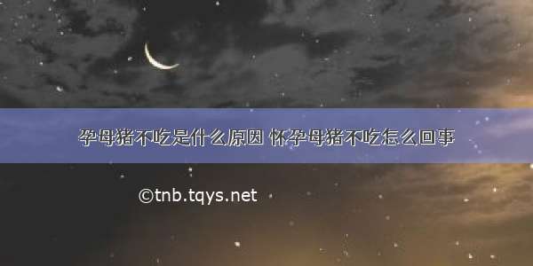 孕母猪不吃是什么原因 怀孕母猪不吃怎么回事