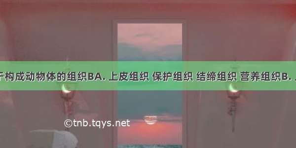 下列属于构成动物体的组织BA. 上皮组织 保护组织 结缔组织 营养组织B. 上皮组织