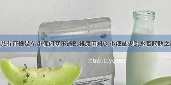 关格与癃闭的共有证候是A.小便闭塞不通B.排尿困难C.小便量少D.水蓄膀胱之证E.小便频数