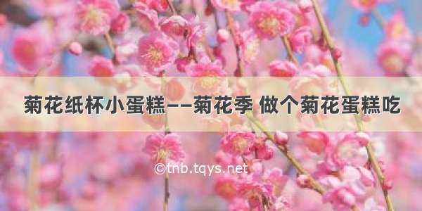 菊花纸杯小蛋糕——菊花季 做个菊花蛋糕吃