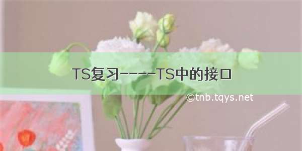 TS复习----TS中的接口