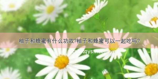 柚子和蜂蜜有什么功效?柚子和蜂蜜可以一起吃吗?