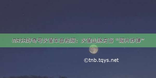 NASA好奇号火星车自拍照：火星山脉充当“照片炸弹”