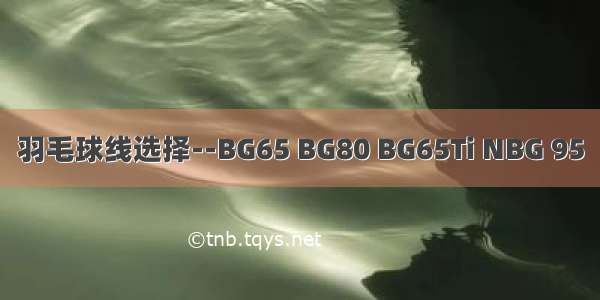 羽毛球线选择--BG65 BG80 BG65Ti NBG 95
