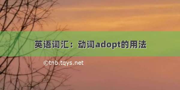 英语词汇：动词adopt的用法