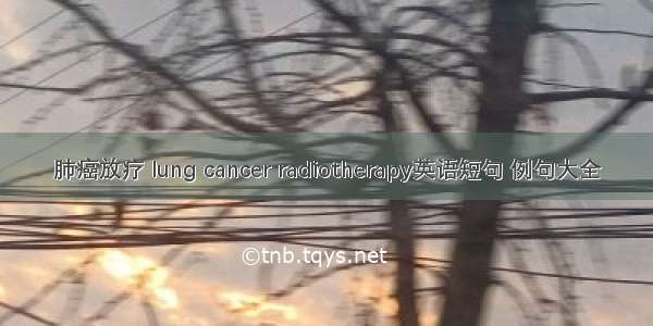 肺癌放疗 lung cancer radiotherapy英语短句 例句大全