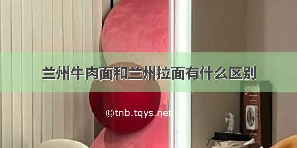 兰州牛肉面和兰州拉面有什么区别