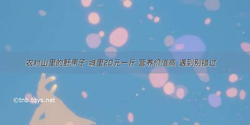 农村山里的野果子 城里20元一斤 营养价值高 遇到别错过