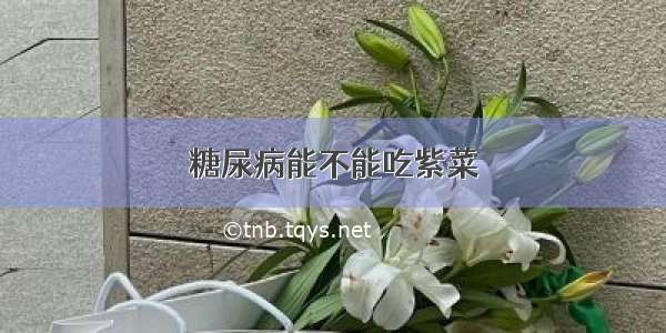 糖尿病能不能吃紫菜