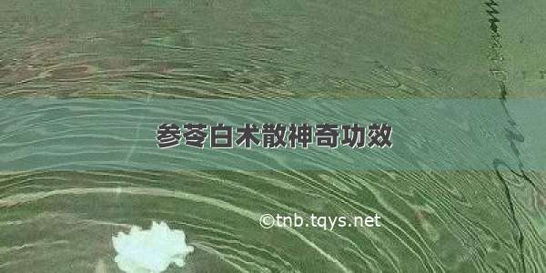 参苓白术散神奇功效