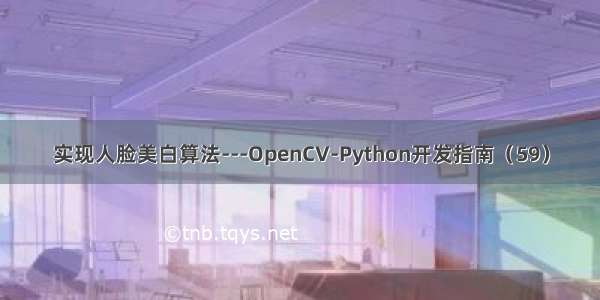 实现人脸美白算法---OpenCV-Python开发指南（59）