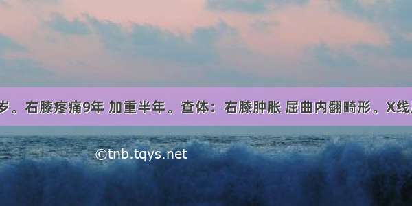 患者男 55岁。右膝疼痛9年 加重半年。查体：右膝肿胀 屈曲内翻畸形。X线片见关节间