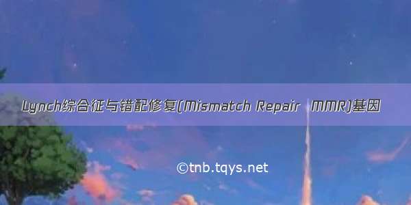 Lynch综合征与错配修复(Mismatch Repair  MMR)基因