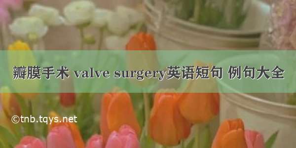 瓣膜手术 valve surgery英语短句 例句大全