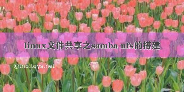 linux文件共享之samba nfs的搭建