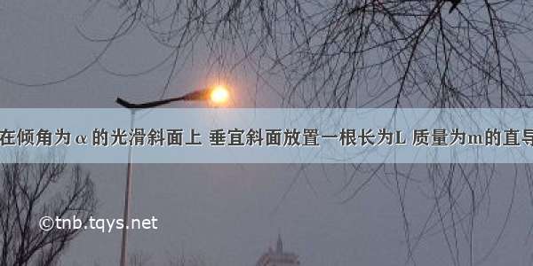 如图所示 在倾角为α的光滑斜面上 垂宜斜面放置一根长为L 质量为m的直导线 当通以