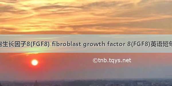 成纤维细胞生长因子8(FGF8) fibroblast growth factor 8(FGF8)英语短句 例句大全