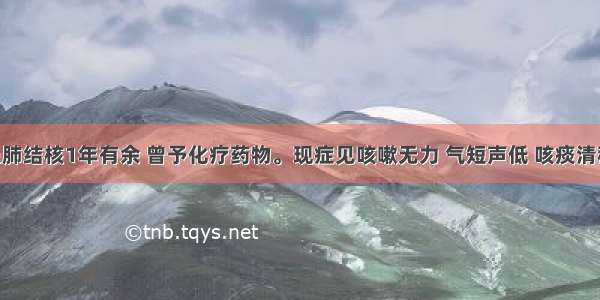 丁某 患肺结核1年有余 曾予化疗药物。现症见咳嗽无力 气短声低 咳痰清稀 色白 