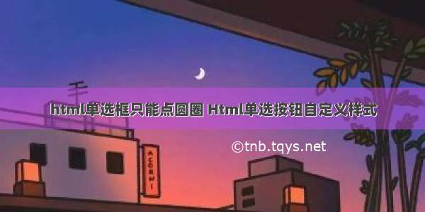 html单选框只能点圆圈 Html单选按钮自定义样式