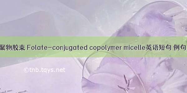 叶酸共聚物胶束 Folate-conjugated copolymer micelle英语短句 例句大全