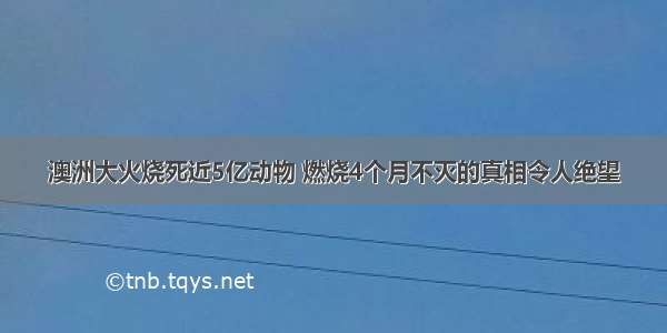 澳洲大火烧死近5亿动物 燃烧4个月不灭的真相令人绝望