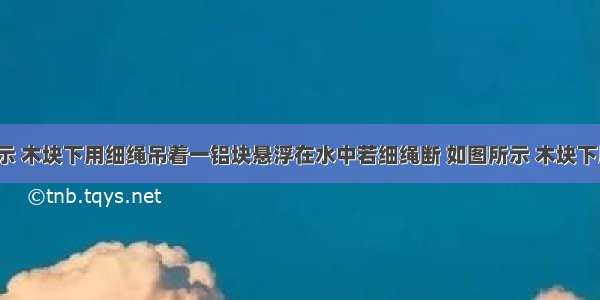 【如图所示 木块下用细绳吊着一铝块悬浮在水中若细绳断 如图所示 木块下用细绳吊着