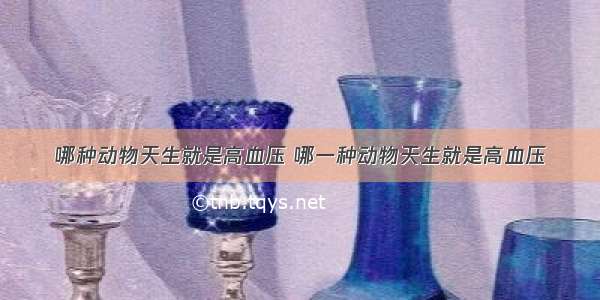 哪种动物天生就是高血压 哪一种动物天生就是高血压