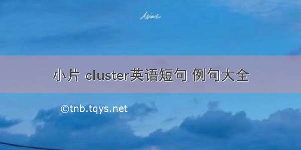 小片 cluster英语短句 例句大全