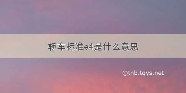 轿车标准e4是什么意思