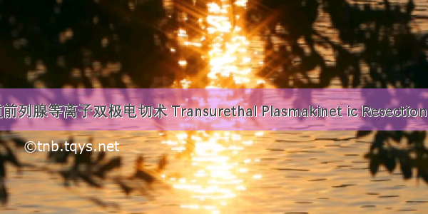 经尿道前列腺等离子双极电切术 Transurethal Plasmakinet ic Resection of the