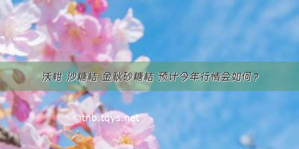 沃柑 沙糖桔 金秋砂糖桔 预计今年行情会如何？