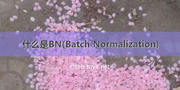 什么是BN(Batch Normalization)