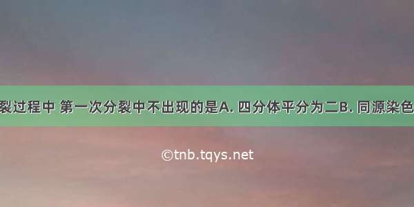 在减数分裂过程中 第一次分裂中不出现的是A. 四分体平分为二B. 同源染色体分离C. 