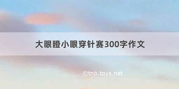 大眼瞪小眼穿针赛300字作文