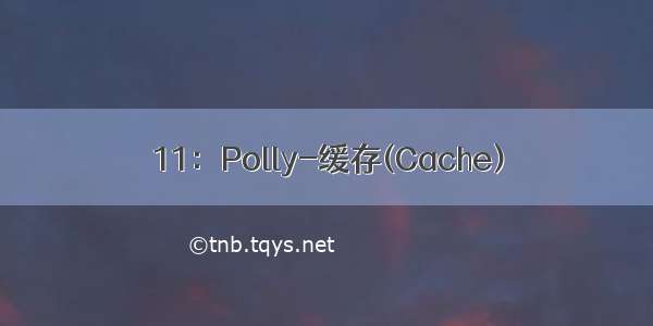 11：Polly-缓存(Cache)