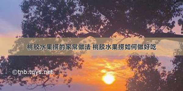 桃胶水果捞的家常做法 桃胶水果捞如何做好吃