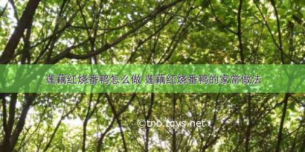 莲藕红烧番鸭怎么做 莲藕红烧番鸭的家常做法