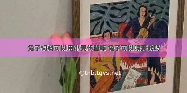 兔子饲料可以用小麦代替嘛 兔子可以喂麦麸吗