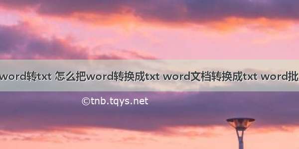 php将word转txt 怎么把word转换成txt word文档转换成txt word批量转txt