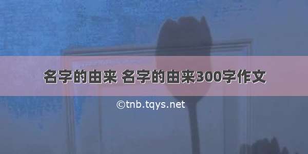 名字的由来 名字的由来300字作文