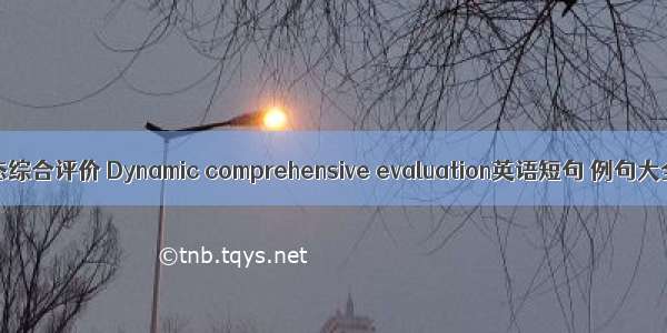 动态综合评价 Dynamic comprehensive evaluation英语短句 例句大全