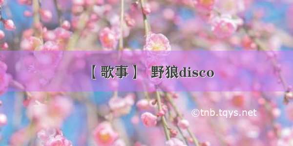 【歌事】  野狼disco