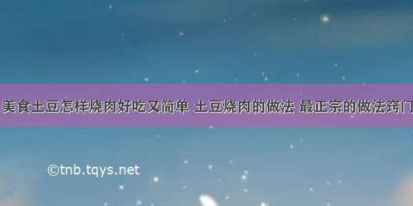 美食土豆怎样烧肉好吃又简单 土豆烧肉的做法 最正宗的做法窍门