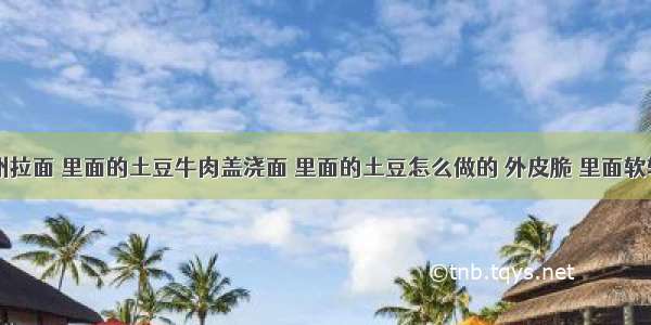 兰州拉面 里面的土豆牛肉盖浇面 里面的土豆怎么做的 外皮脆 里面软软的